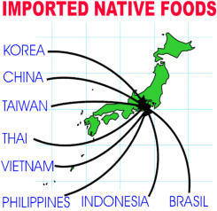 KOSE Imported native foods.gif (67267 oCg)